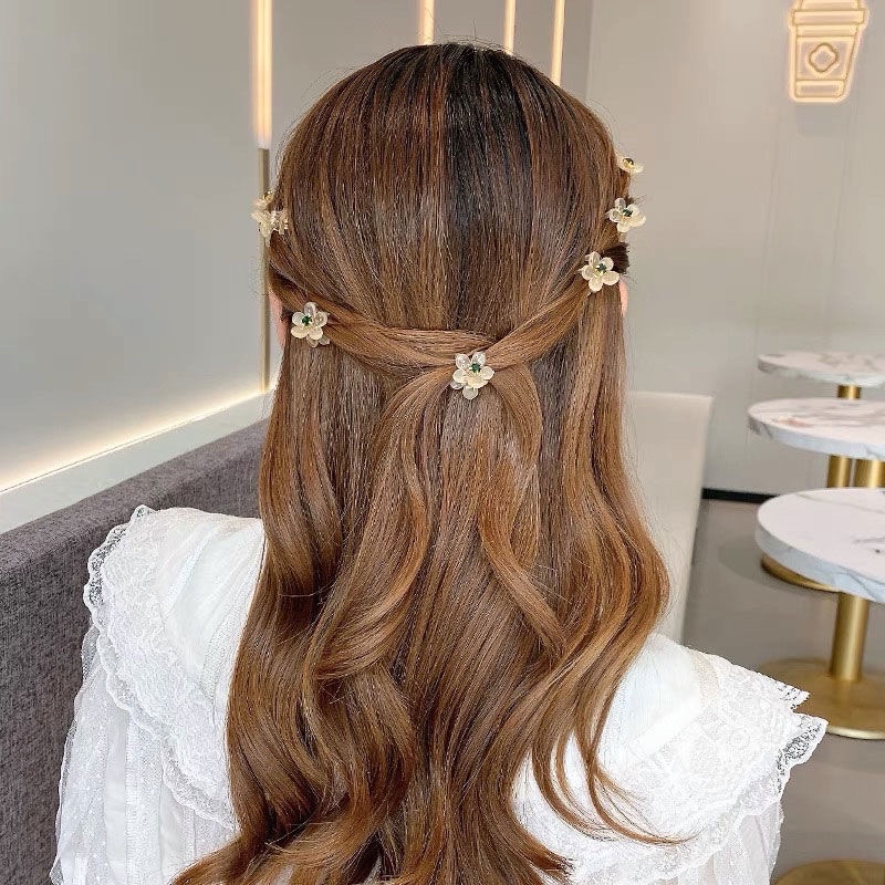 10 stks/set Koreaanse Mini Haa - Women Accessories In Wholesale recensie en prijs